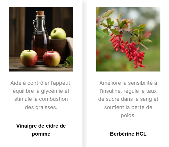 Captura de tela 2025-09-03 113349