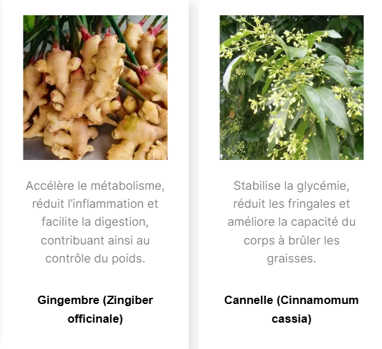 Captura de tela 2025-09-03 113407