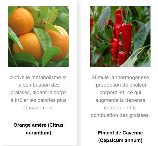 Captura de tela 2025-09-03 113427